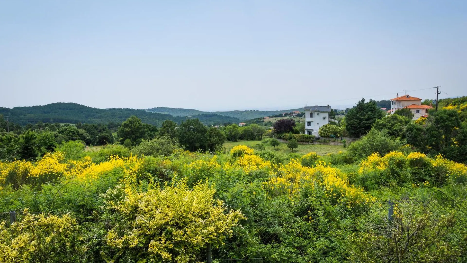 Country Cottage I & Country Cottage II 폴리이로스
