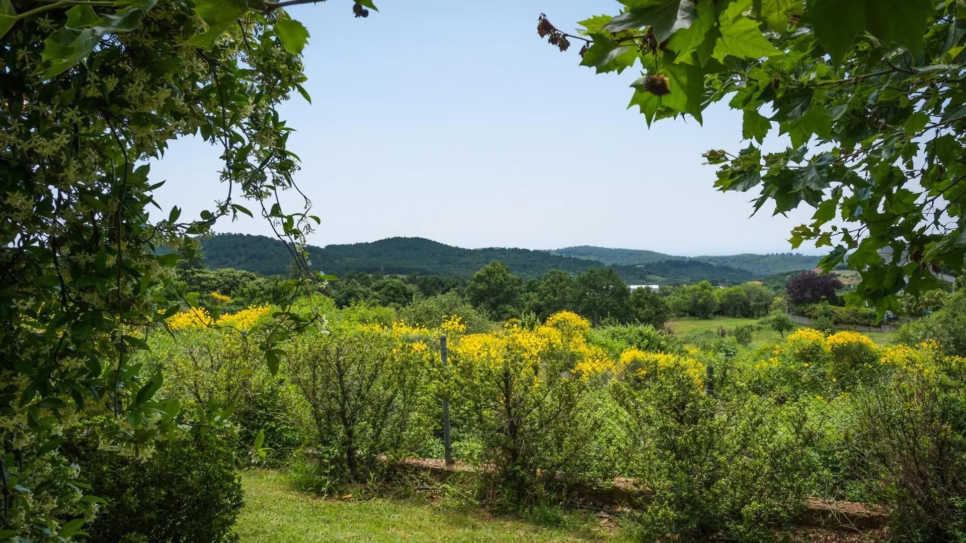 Country Cottage I & Country Cottage II 폴리이로스 그리스